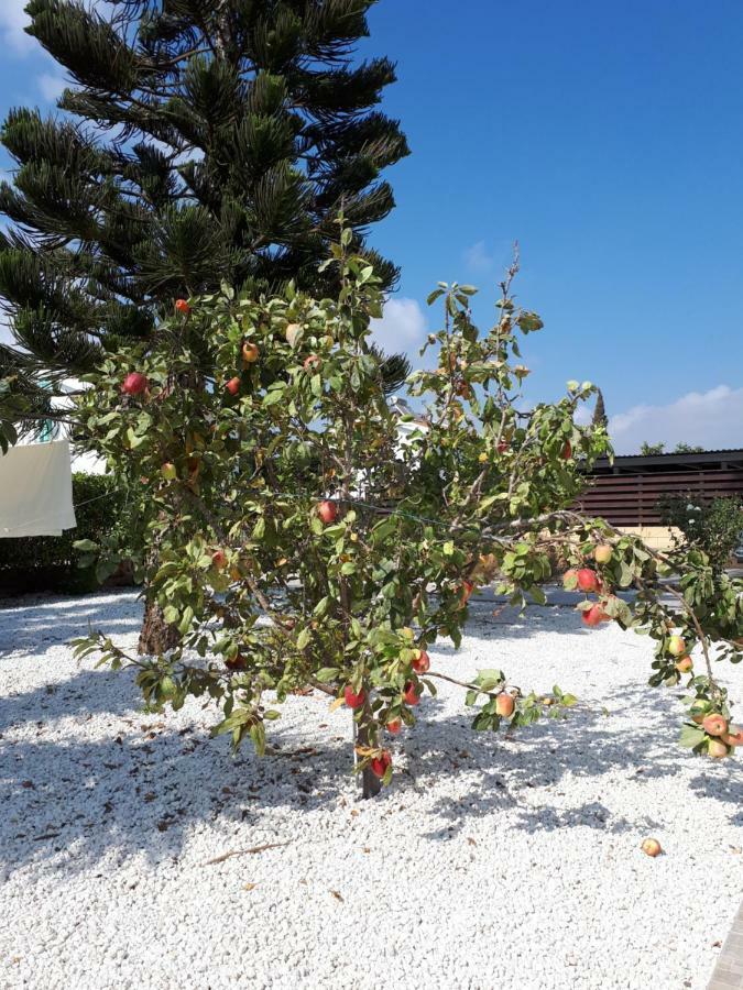 Villa Bouboulina Cyprus Ayia Napa Esterno foto